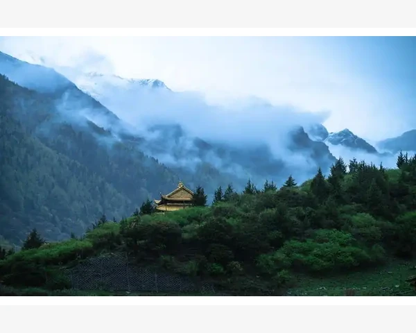 呼吸脾胃疼痛怎么办?